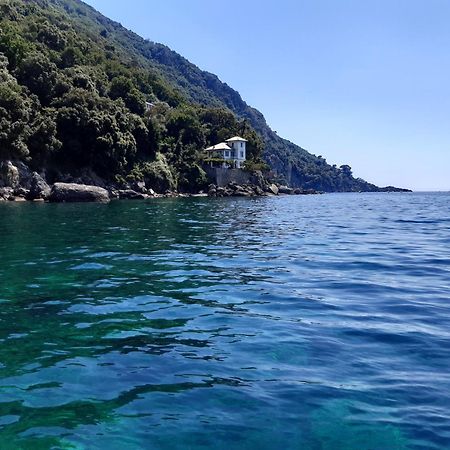 Villa Albachiara Камольи Экстерьер фото