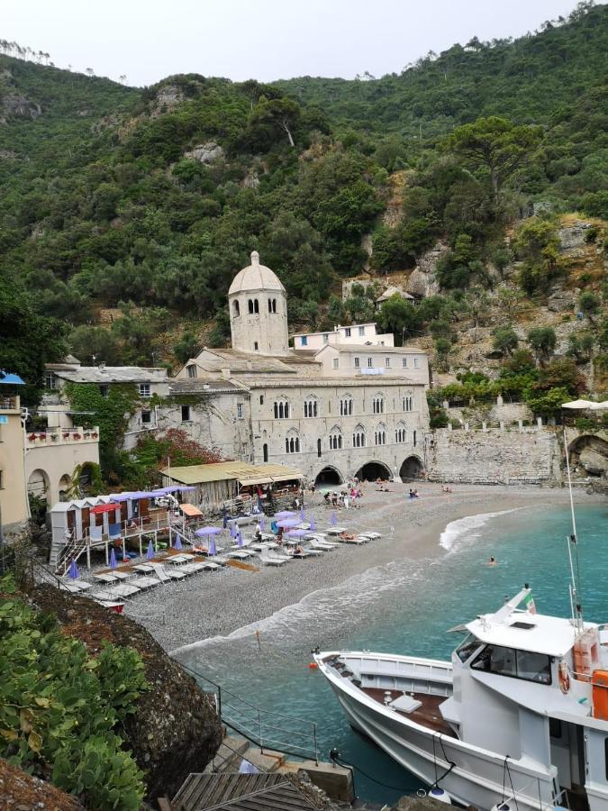Villa Albachiara Камольи Экстерьер фото