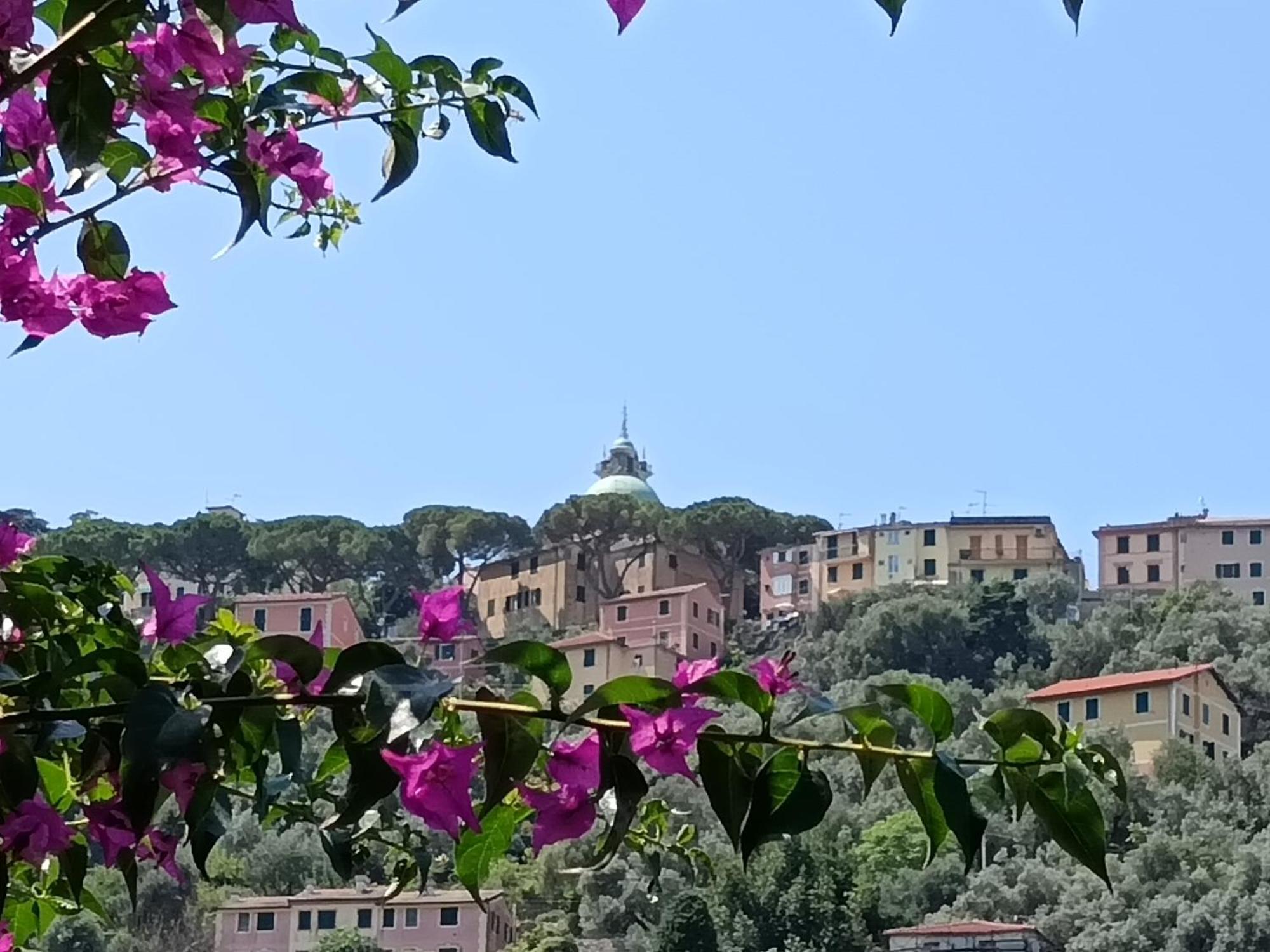 Villa Albachiara Камольи Экстерьер фото