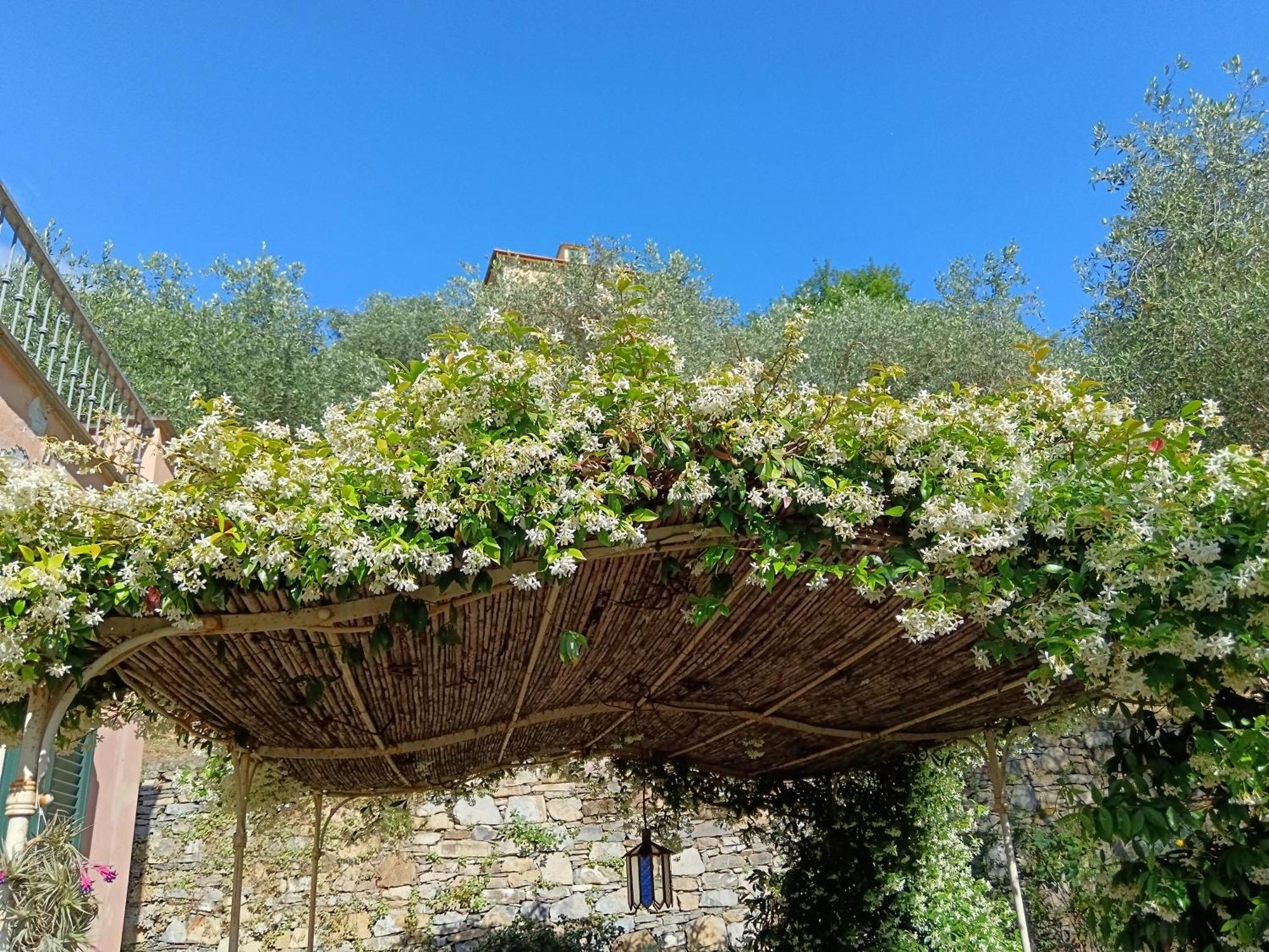 Villa Albachiara Камольи Экстерьер фото