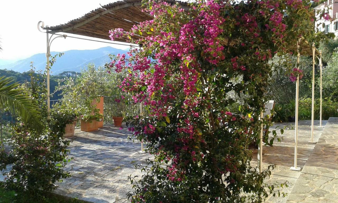 Villa Albachiara Камольи Экстерьер фото