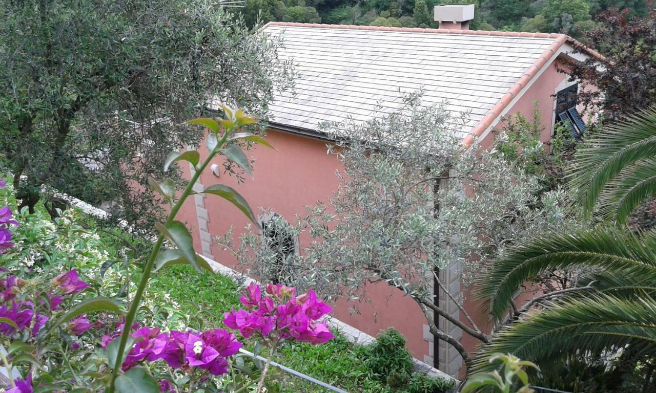 Villa Albachiara Камольи Экстерьер фото