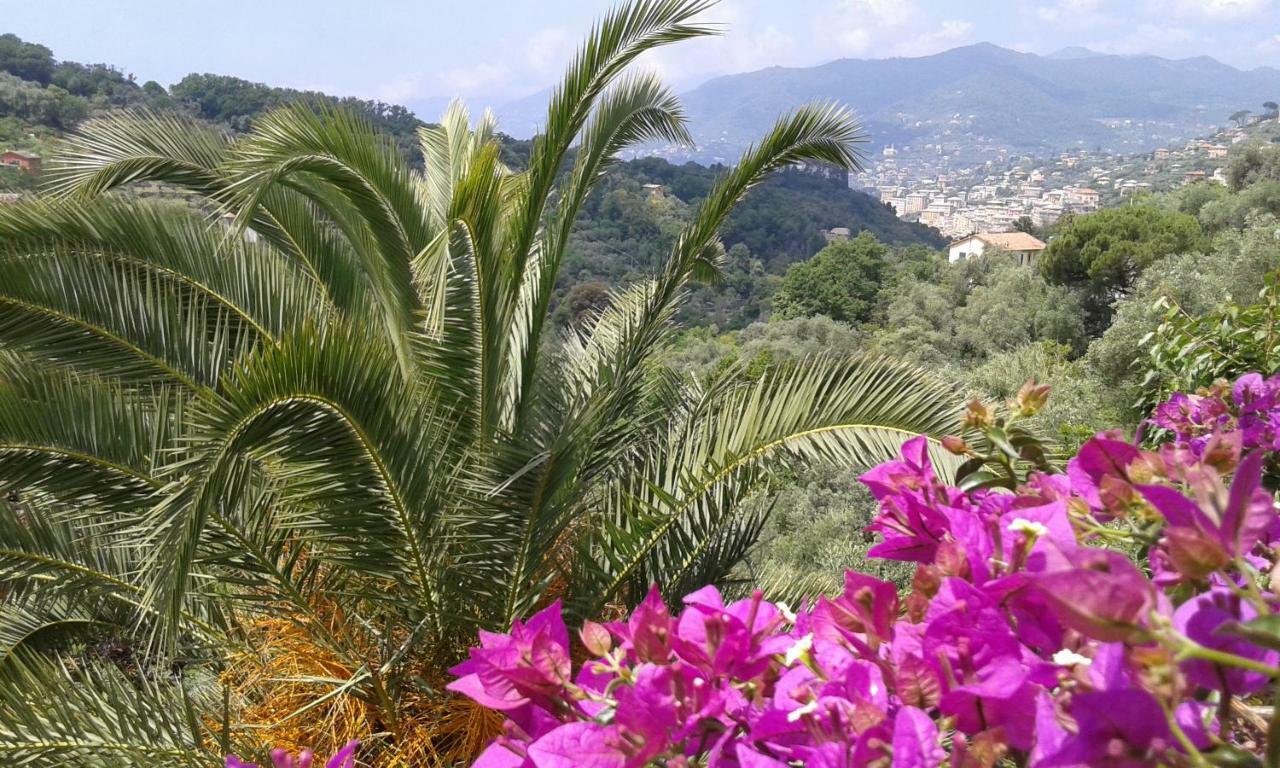 Villa Albachiara Камольи Экстерьер фото