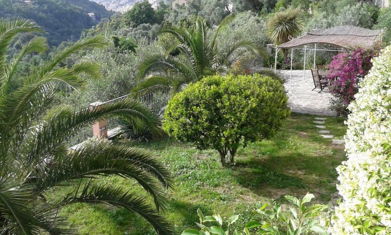 Villa Albachiara Камольи Экстерьер фото